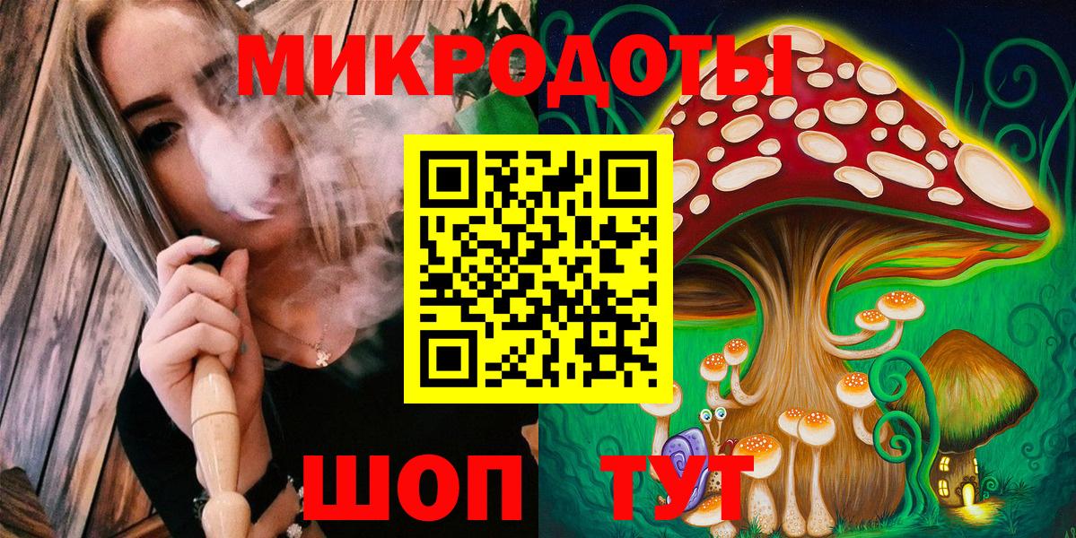 Галлюциногенные грибы прущие грибы Кандалакша