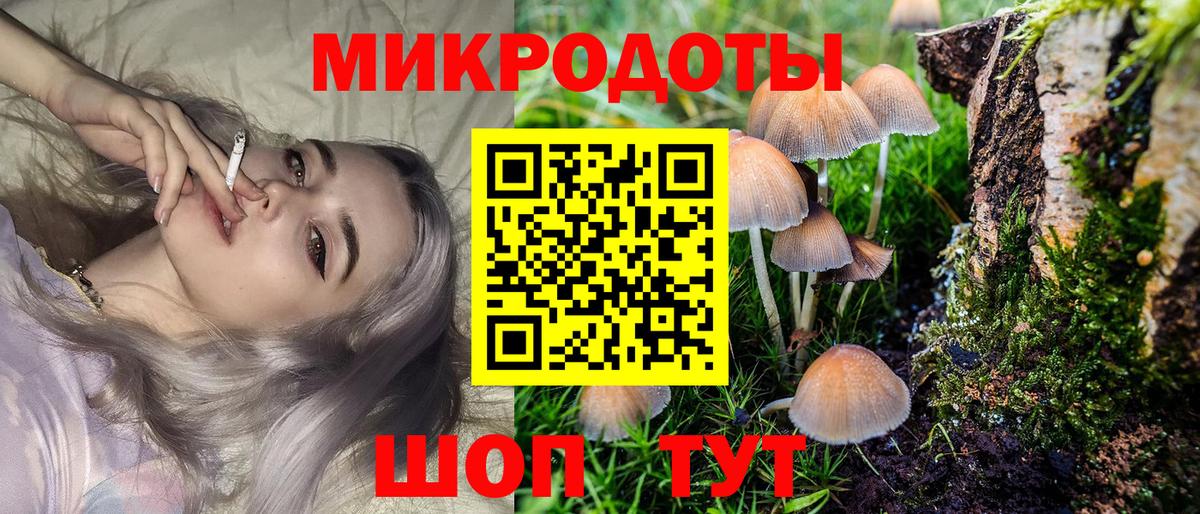 Кандалакша  Галлюциногенные грибы мицелий  Галлюциногенные грибы Cubensis  купить наркотик  Вход с VPN 